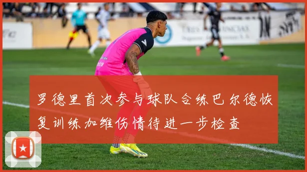 罗德里首次参与球队合练巴尔德恢复训练加维伤情待进一步检查